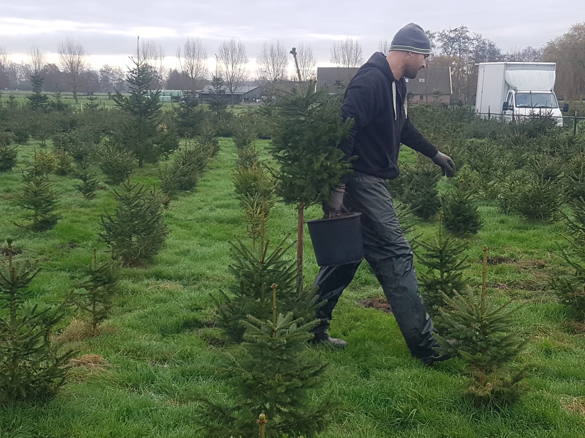 duurzame kerstboom